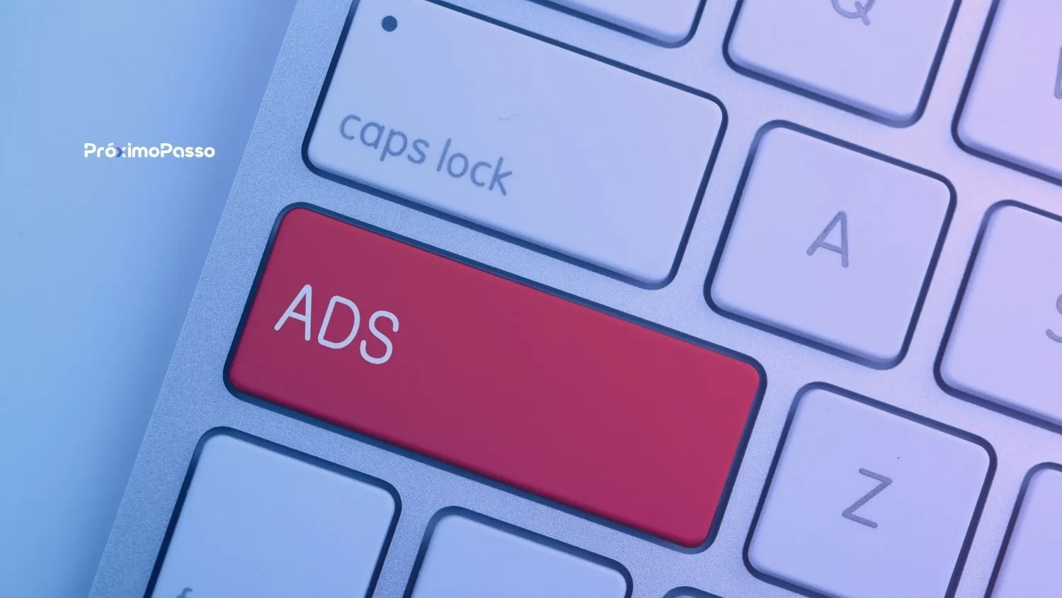 Diferenças entre tráfego pago e orgânico para o ROI da empresa