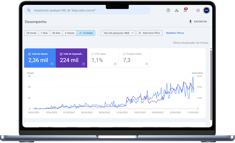 caso de sucesso SEO 2